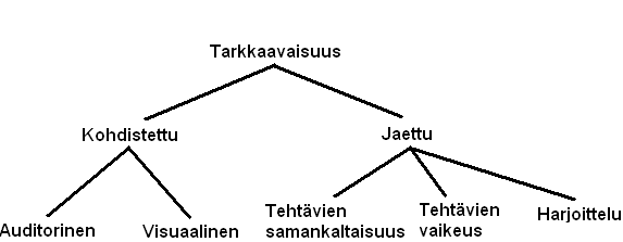 G1: tarkkaavaisuus