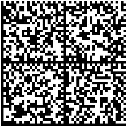 Kuva datamatriisista